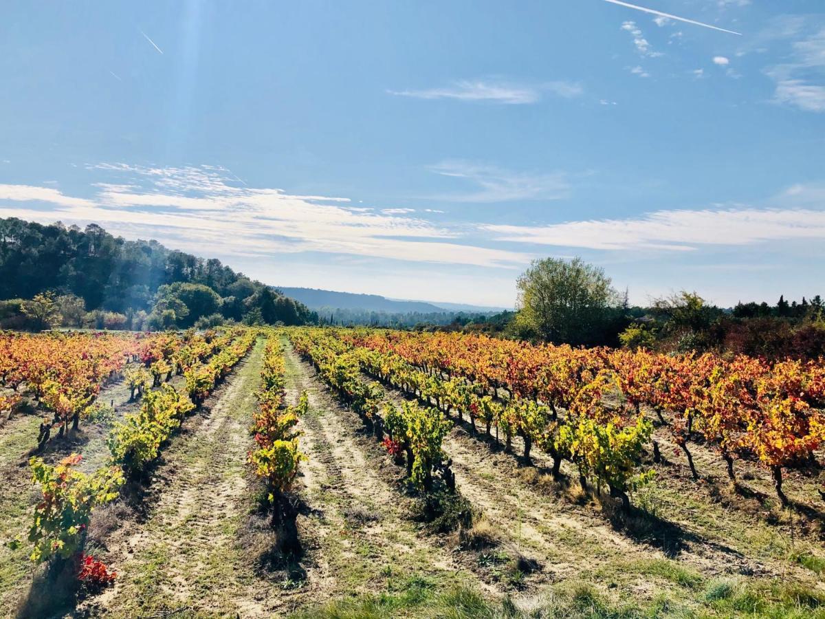 La Maison D Ame - For The Perfect Stay At The Mont Ventoux Malaucène المظهر الخارجي الصورة