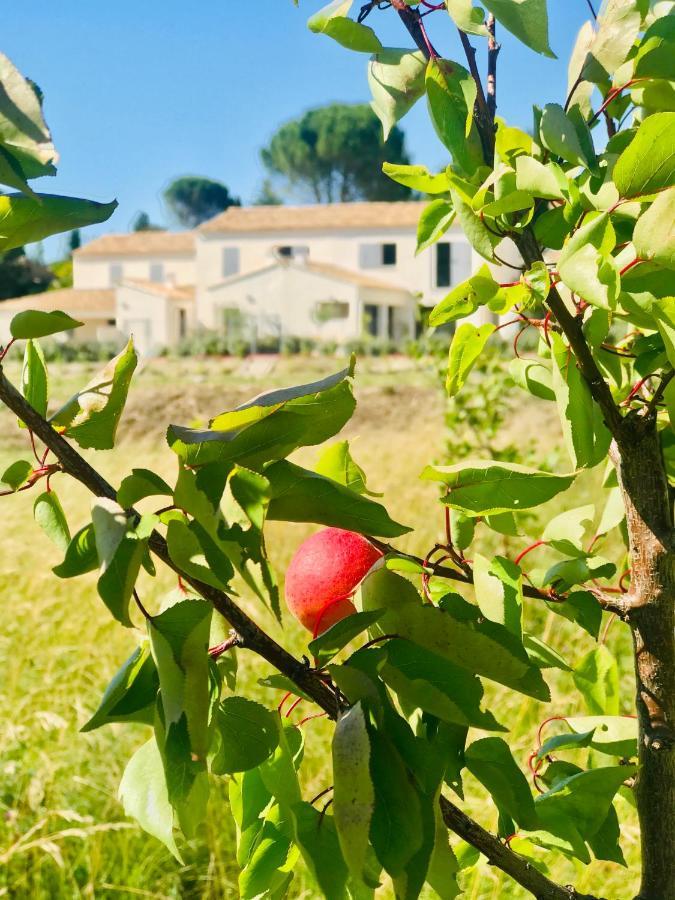 La Maison D Ame - For The Perfect Stay At The Mont Ventoux Malaucène المظهر الخارجي الصورة
